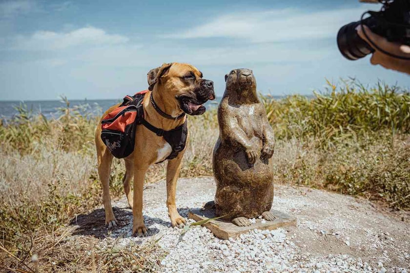 В Україні презентували трейлер відеопроєкту про рідкісних тварин «Червоні рюкзаки»