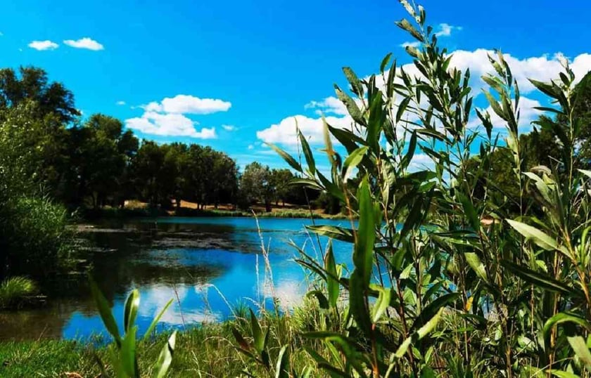 В Україні запрацював єдиний екологічний вебпортал «ЕкоСистема»