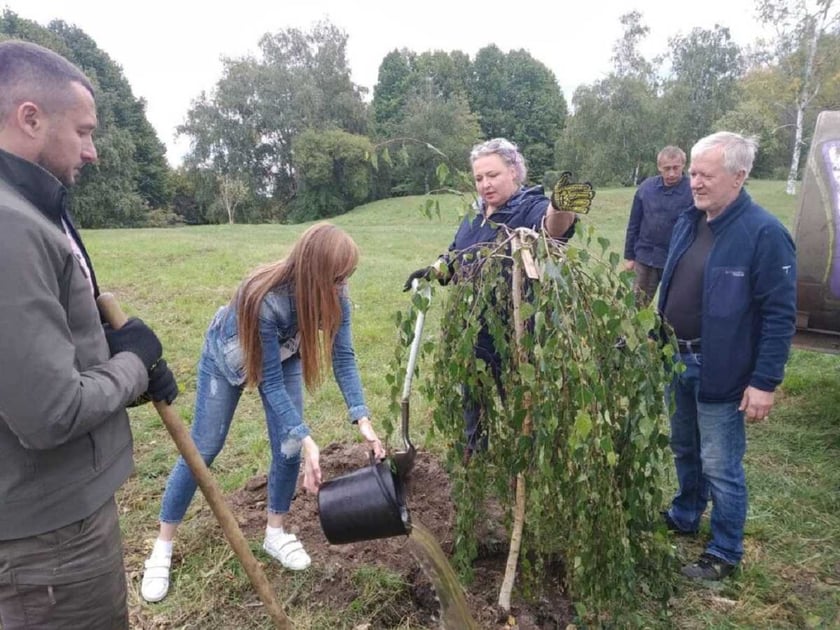 Екологічний рекорд: українці за добу висадили по всій країні понад 3,7 млн дерев