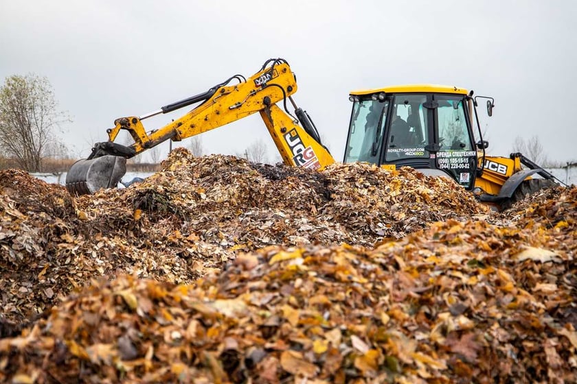 У Києві опале листя почали перетворювати на добриво за допомогою хробаків