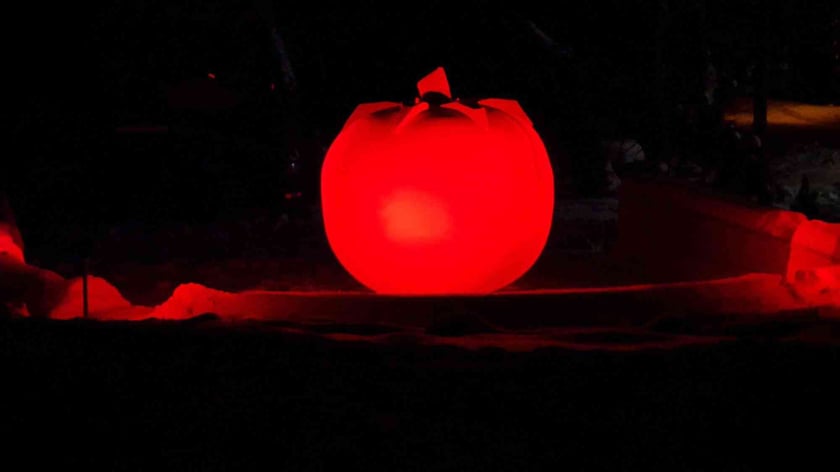 На Вінниччині замість ялинки запалили гігантський «помідор» (ФОТО)