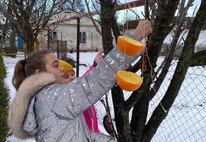 Школярі на Сумщині облаштували креативні годівнички для птахів (ФОТО)