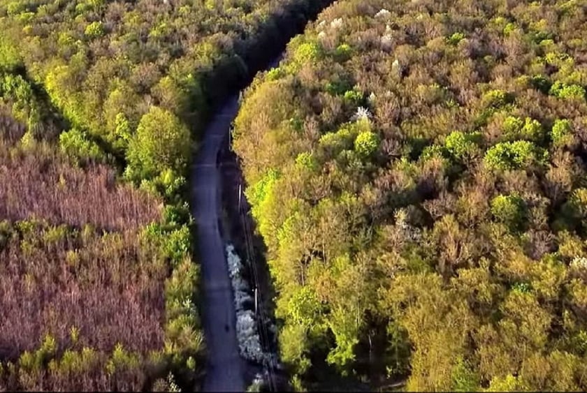 Презентували зворушливе відео про селище Саврань на Одещині