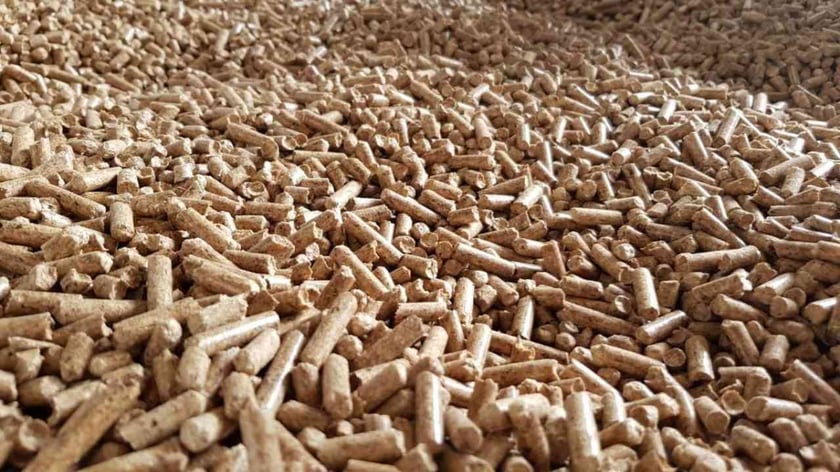 Як громада на Полтавщині налагодила виробництво паливних пелет (ВІДЕО)