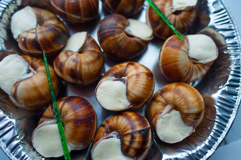 На Київщині відкрили нову равликову ферму Native Snails