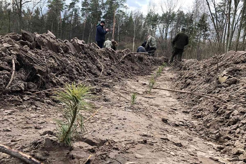 У Києві висадили півгектара нового лісу (ФОТО)