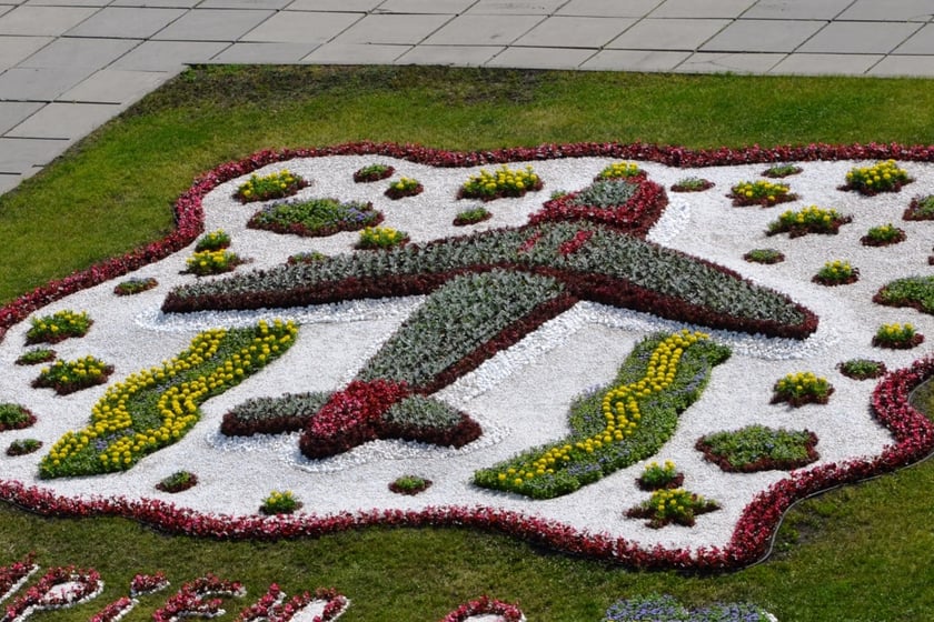 У Києві створили легендарний літак «Мрія» із квітів (ФОТО)