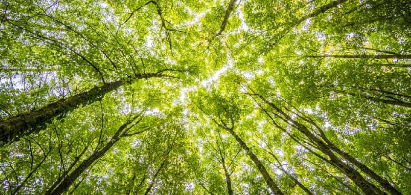 Українські екостартапи запрошують на найбільше у світі змагання «зелених» винаходів ClimateLaunchpad