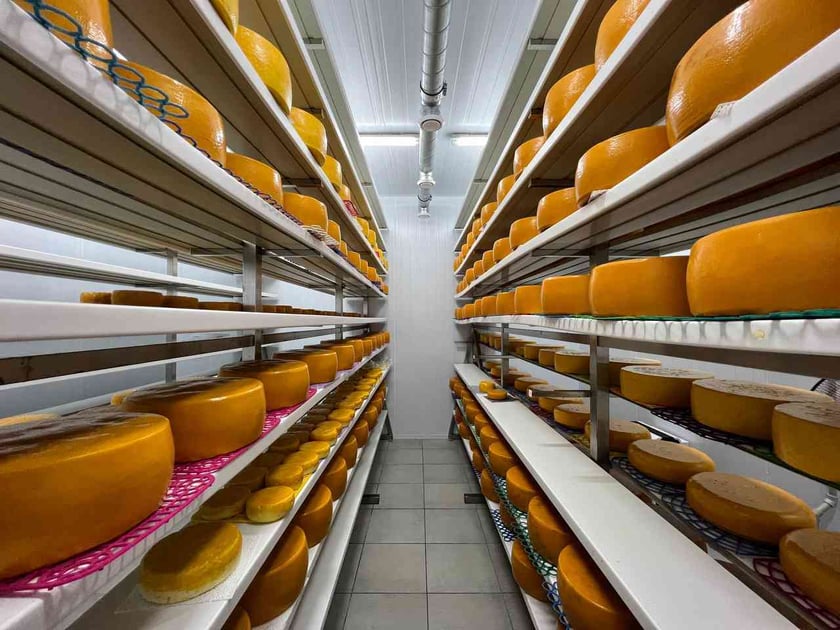 На Сумщині відкрилась сироварня, що виготовляє крафтовий сир «Мирний»