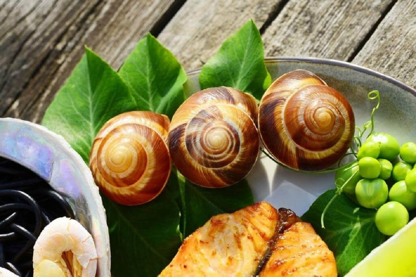 Українських равликів експортуватимуть до Грузії