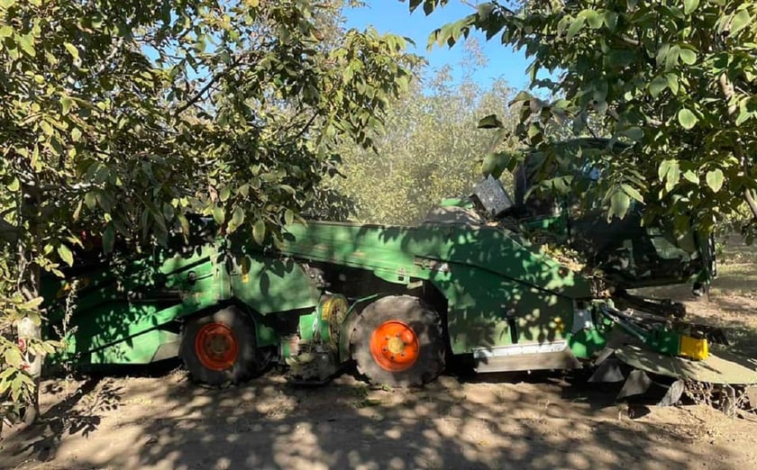 На Одещині створили єдиний в Україні горіховий сад, де не потрібна ручна праця