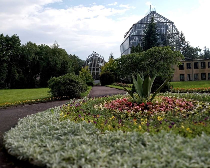 У Львові вперше за три роки відкривають ботанічний сад ЛНУ