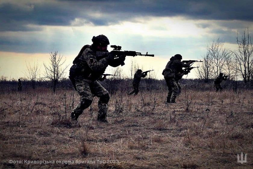 «Ювелірна точність». Криворізька бригада ТрО з дрона знищила схованку окупантів (ВІДЕО)
