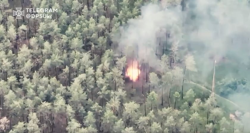 На Лиманському напрямку прикордонники знищили замаскований склад БК (ВІДЕО)