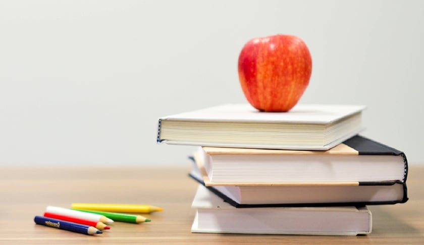 Німеччина запускає програму підтримки українського книгоринку на €900 тисяч