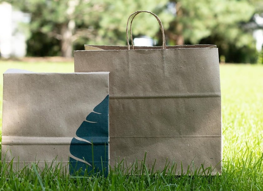 Український екостартап готується запустити у Франції завод із виготовлення упаковки з опалого листя