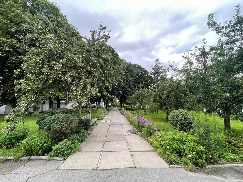 На території Києво-Печерської лаври планують відновити 500-річний сад (ФОТО)