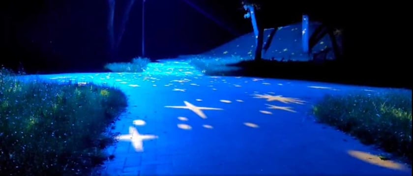 У Києві алею парку підсвітили зорями (ВІДЕО)