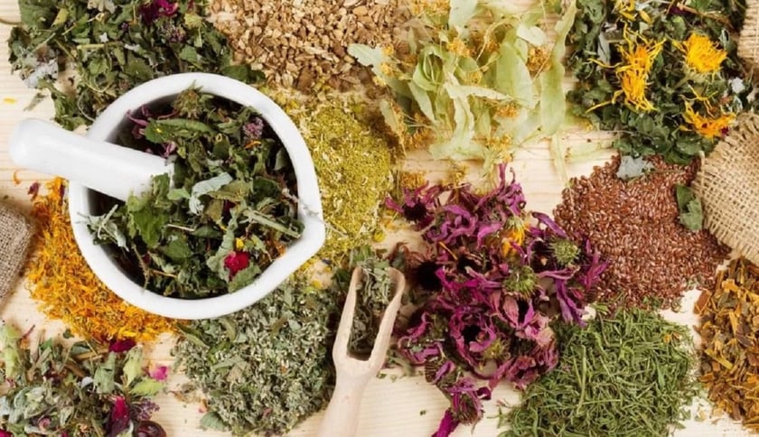 Компанія «Лікарські трави Запоріжжя ТМ» вийшла на ринок Канади