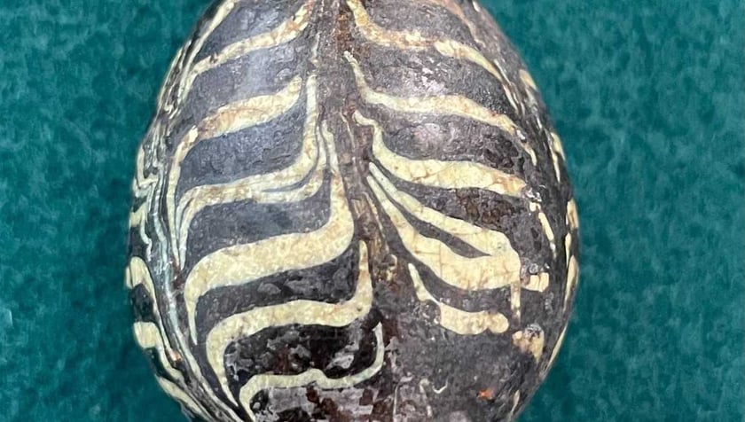 Колекція Волинського музею поповнилася писанкою ХІ-ХІІ століття