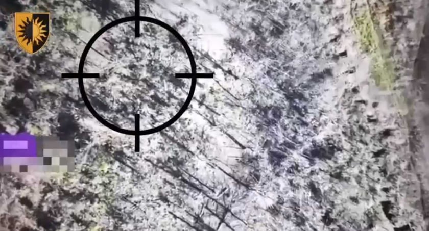 Сирський показав роботу ЗСУ на околицях Кліщіївки (ВІДЕО)