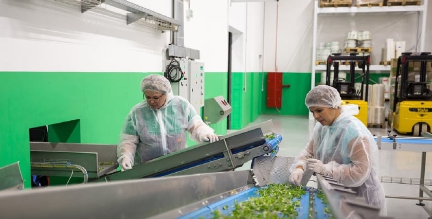 Переробні підприємства можуть отримати грант до $500 тис. від USAID