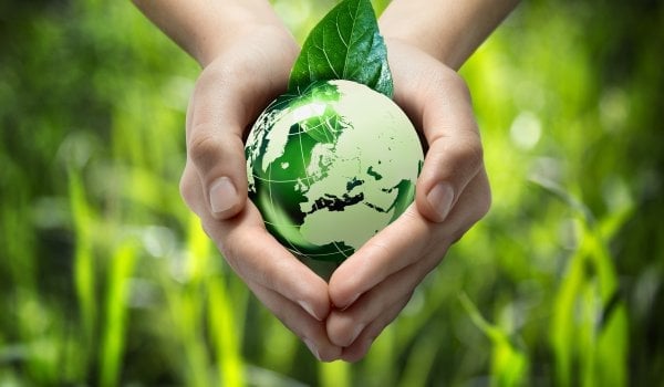 В Україні запустили нову екологічну ініціативу: як долучитися
