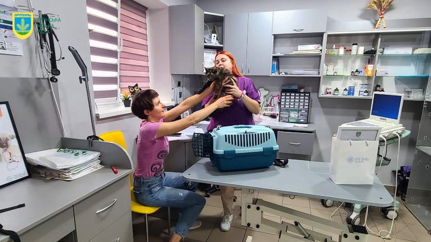 В Ірпені відкрили другу в Україні благодійну ветклініку з безоплатними послугами