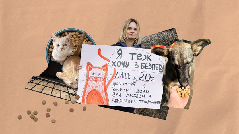 Допомагати тваринам може кожен — чи знаєте ви, як саме? Перевірте себе! (ТЕСТ)