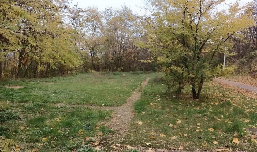 У львівському парку відремонтують спортивний майданчик для людей з інвалідністю