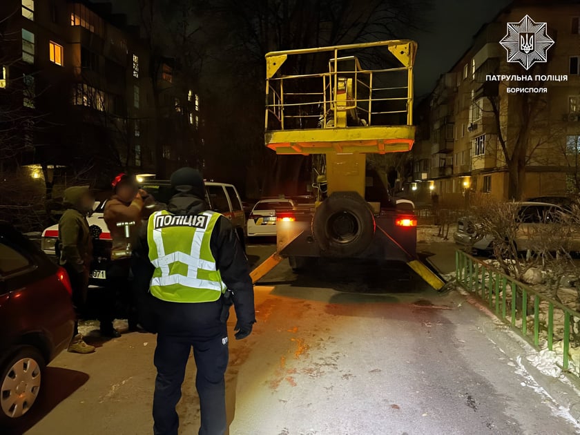 Під Києвом врятували кота, який понад 12 годин сидів на ялинці (ФОТО)