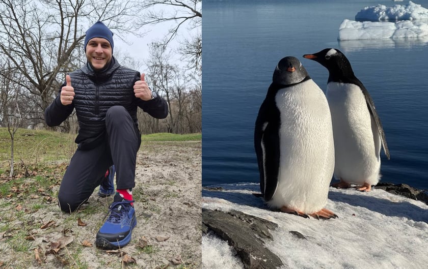 У Києві створили перший в Україні біговий портрет пінгвіна (ФОТО)