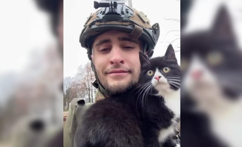 Оператор дрона врятував котика на позиціях у Костянтинівці (ВІДЕО)