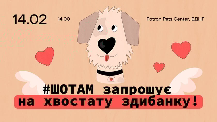 ШОТАМ запрошує на «Хвостату здибанку» в Києві: подаруйте тваринам із фронту свою любов