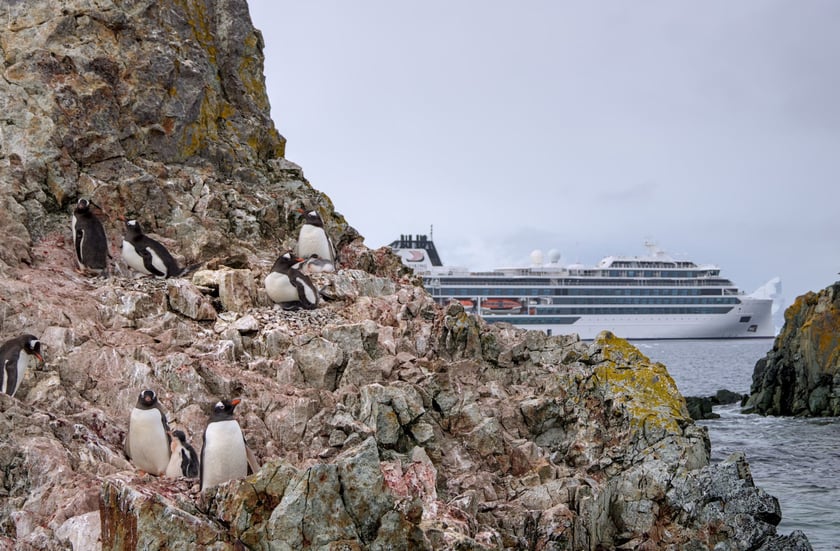 Українські полярники встановили рекорд на конкурсі наукових зображень для Вікіпедії (ФОТО)