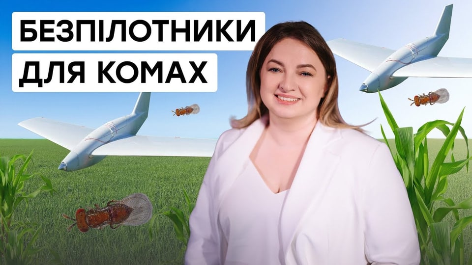Комахи на безпілотниках: як підприємиця з Полтави допомагає аграріям