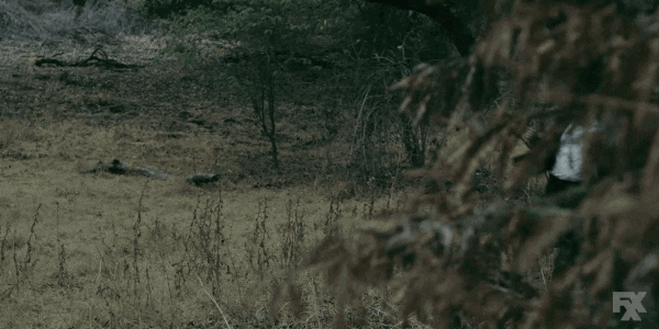 giphy 11 e1561821590364