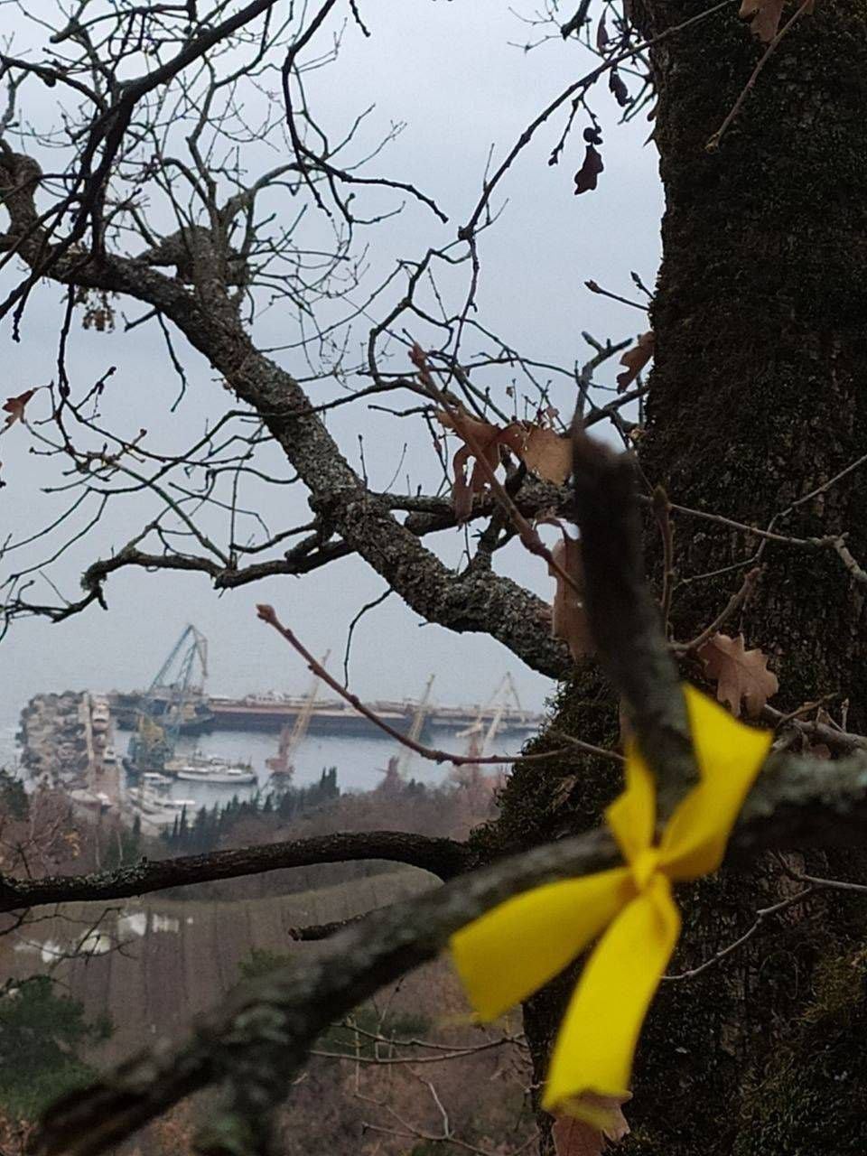 акція руху «Жовта стрічка»